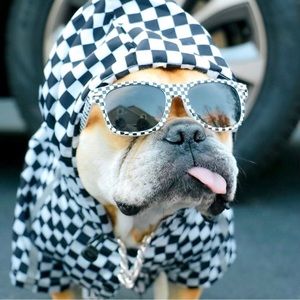 NWT designer dog raincoat